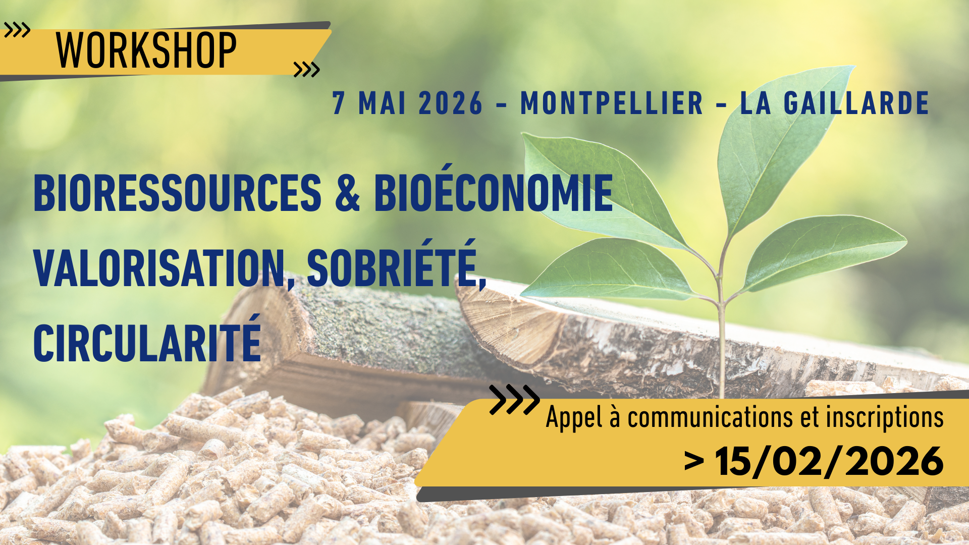 Logo de la conférence